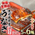 ふるさと納税 【0184359a】【緊急支援品】＜訳あり＞鰻の蒲焼き(無頭)(5〜6尾・計約750g・タレ、山椒付) うなぎ ウナギ 鰻 国産 蒲焼 蒲焼き.. 鹿児島県東串良町