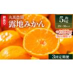 みかん 5kg