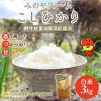 みのやファーム耕作放棄地解消応援米 こしひかり 3kg
