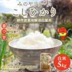 みのやファーム耕作放棄地解消応援米 こしひかり 5kg