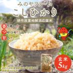 みのやファーム耕作放棄地解消応援米 こしひかり 5kg