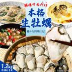 冷凍牡蠣 むき身 生食用 60g×20