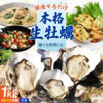 冷凍牡蠣 殻付き 1kg