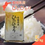 産ひのひかり5kg
