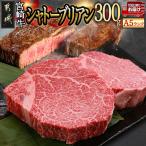 宮崎牛シャトーブリアン A5 150g×2枚