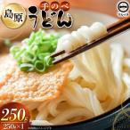 BJ296 島原 手のべうどん 250g
