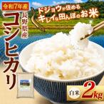 どじょうのいる田んぼのお米 コシヒカリ