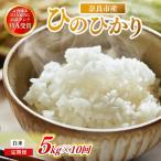 定期便 ヒノヒカリ 白米 5kg×10回