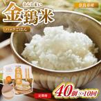 定期便 パックごはん 白米 40個×10回