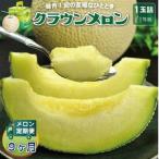 クラウンメロン 白等級 1玉全9回