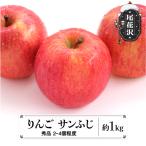 りんご サンふじ 約1kg