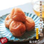 和歌山紀州南高梅 つぶれ梅 はちみつ漬け