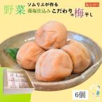 紀州南高梅 野菜ソムリエが作る藻塩仕込み