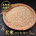 玄米 コシヒカリ 5キロ