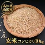 玄米 コシヒカリ 10キロ