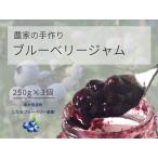 ブルーベリージャム 250g×3個セット