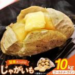 ふるさと納税 じゃがいも メークイン 産地直送 春野菜 野田さん家のじゃがいも ゴールドメークイン 10kg 限定20個 [野田物産 長崎県 東彼杵町 .. 長崎県東彼杵町