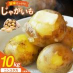 ふるさと納税 じゃがいも 産地直送 春野菜 野田さん家のじゃがいも ニシユタカ 10kg 限定30個 [野田物産 長崎県 東彼杵町 hs42bag810000] 長崎県東彼杵町