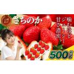 いちご さちのか 約500g