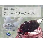ブルーベリージャム 400g×3個セット