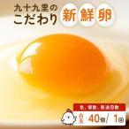 九十九里ファームこだわりたまご 40個