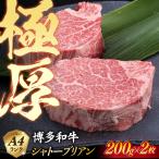 極厚 シャトーブリアン 約200g×2枚