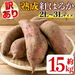 isa876 熟成紅はるか 約15kg