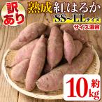isa877 熟成紅はるか 約10kg