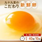 九十九里ファームこだわりたまご 40個