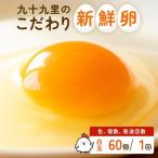 九十九里ファームこだわりたまご 60個