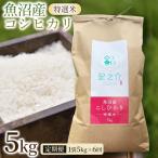 魚沼産コシヒカリ 特選米 5kg