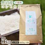 魚沼産コシヒカリ 白嶺米 5kg