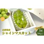 大粒シャインマスカット 上級品 1房