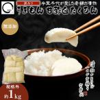 訳あり 甘酢白たくあん 1kg