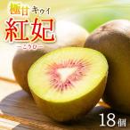 キウイフルーツ 18個