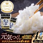 元気つくし プレミアム 精米 2kg×2P