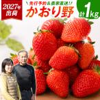 いちご かおり野 計1kg