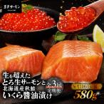 生を超えた とろ生サーモン と 産秋鮭 いくら醤油漬セット …