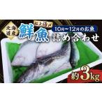 船上活〆鮮魚詰め合わせ約3kg 鮮魚 活〆