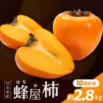 蜂屋柿 約2.8kg