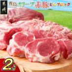 霧島オリーブ赤豚 ヒレブロック2kg 真空パック