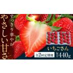 産イチゴ いちごさん 約440g