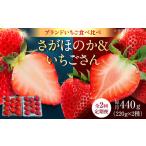 赤いちご食べ比べ定期便 毎月 約440g