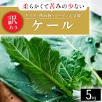 fu.... налог [ есть перевод ] soft кудрявая капуста 5kg[TV ознакомление . очень популярный ]....., кудрявая капуста . переворот ..[ рассылка не возможно регион : отдаленный остров ][1727000] Shizuoka префектура Iwata-shi 