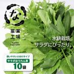 ふるさと納税 サラダほうれん草 サラダセット | ほうれんそう 水耕 栽培 新鮮 葉物 野菜 ドレッシング 南国市 高知県南国市