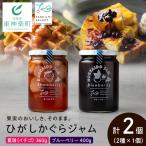 ひがしかぐらジャム 〈なつみずき苺 ブルーベリー〉各1 合…