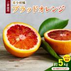 希少柑橘 ご ブラッドオレンジ サイズ混合