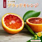 希少柑橘 ご ブラッドオレンジ サイズ混合