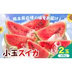 厳選すいか 2玉