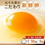 九十九里ファームこだわりたまご 90個